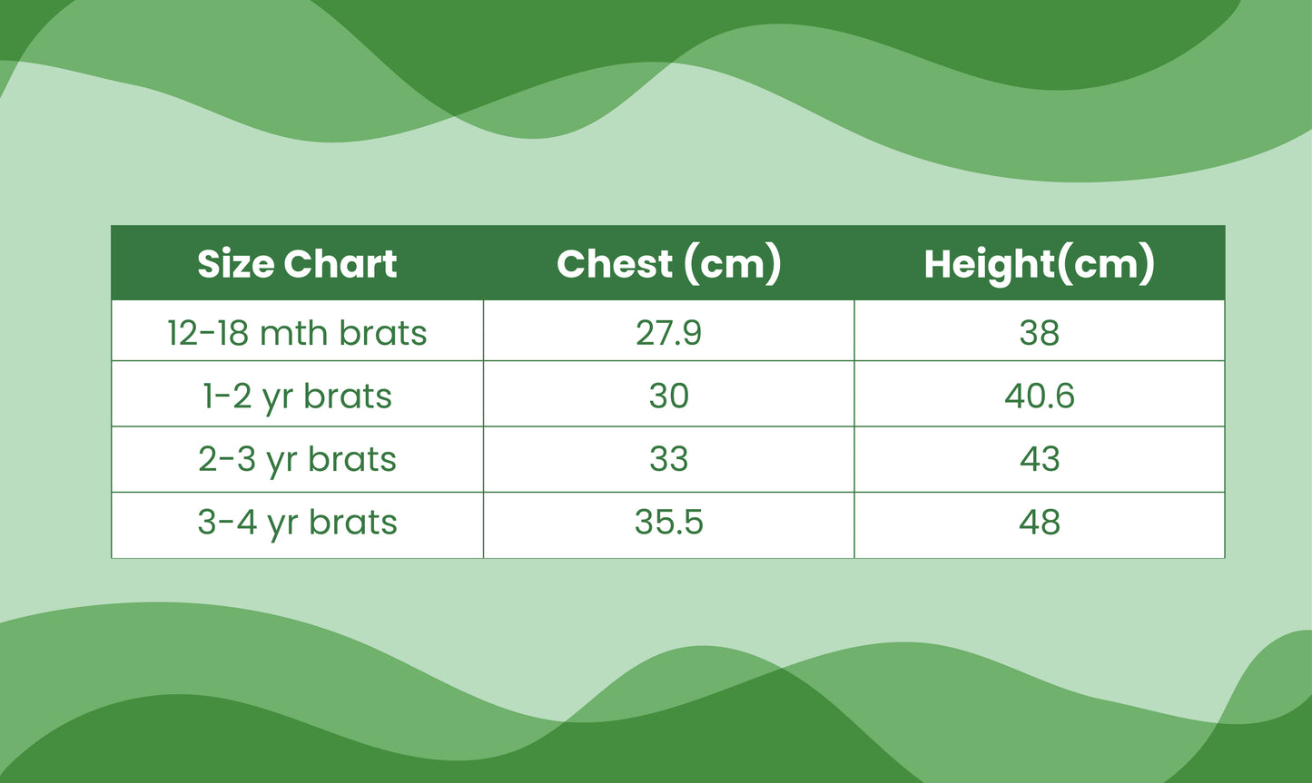 Let’s play Turtle Orange T-Shirt & Shorts set