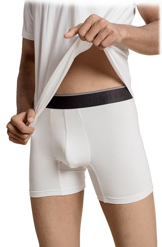 Bamboo Boxer Briefs